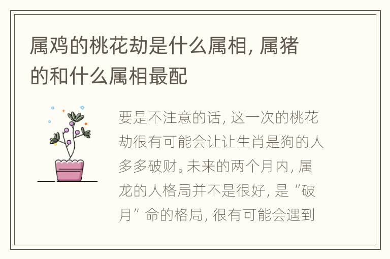 属鸡的桃花劫是什么属相，属猪的和什么属相最配