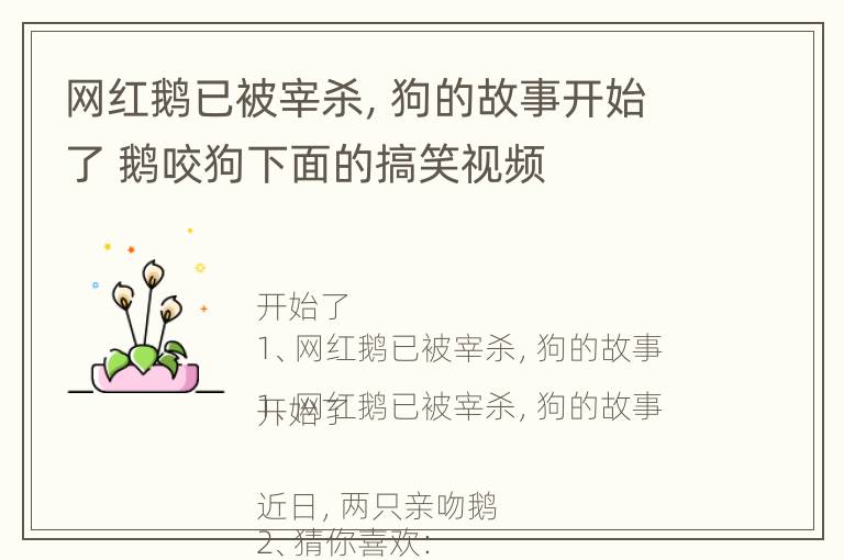 网红鹅已被宰杀，狗的故事开始了 鹅咬狗下面的搞笑视频