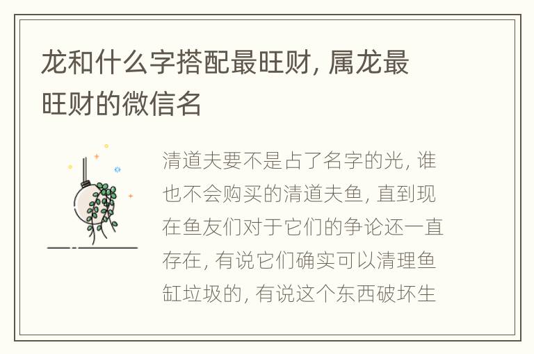 龙和什么字搭配最旺财，属龙最旺财的微信名