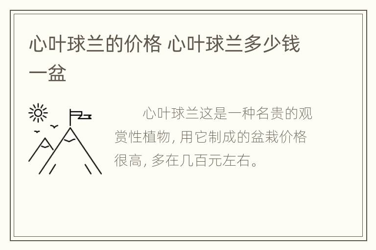 心叶球兰的价格 心叶球兰多少钱一盆