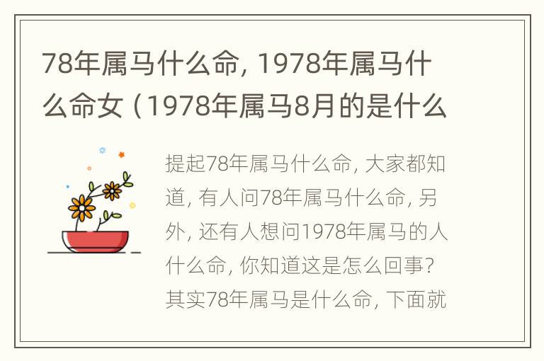 78年属马什么命，1978年属马什么命女（1978年属马8月的是什么命）