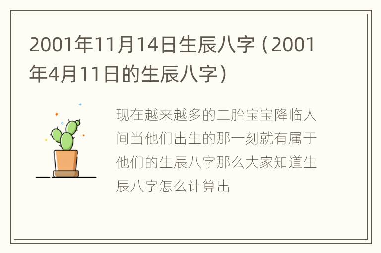 2001年11月14日生辰八字（2001年4月11日的生辰八字）