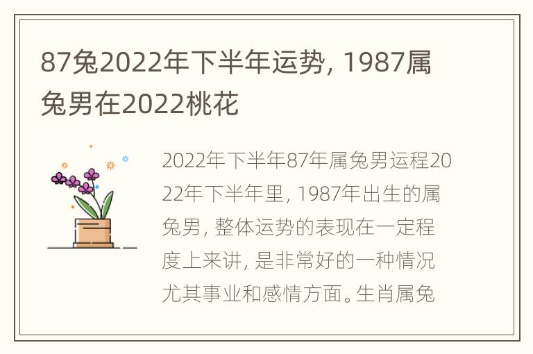 87兔2022年下半年运势，1987属兔男在2022桃花