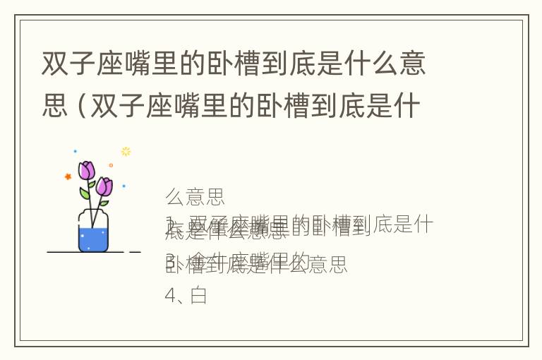 双子座嘴里的卧槽到底是什么意思（双子座嘴里的卧槽到底是什么意思啊）