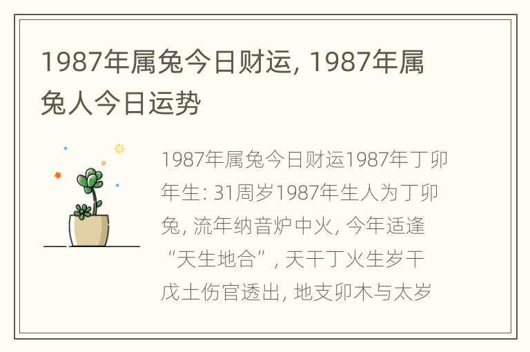 1987年属兔今日财运，1987年属兔人今日运势