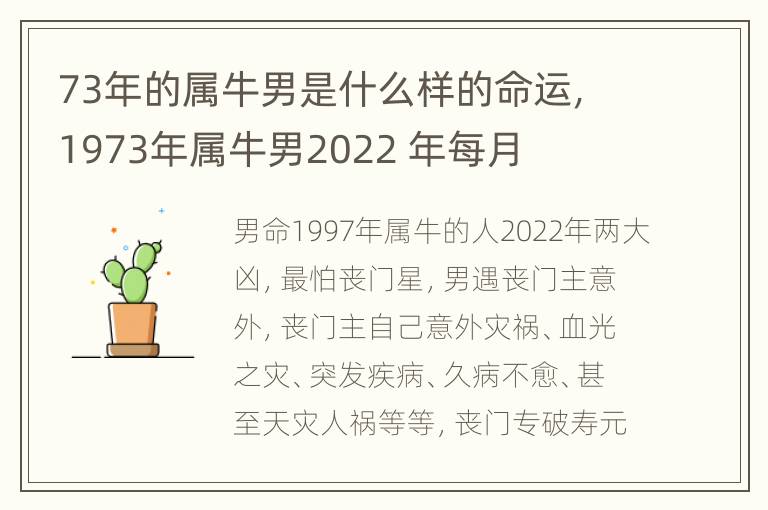 73年的属牛男是什么样的命运，1973年属牛男2022 年每月