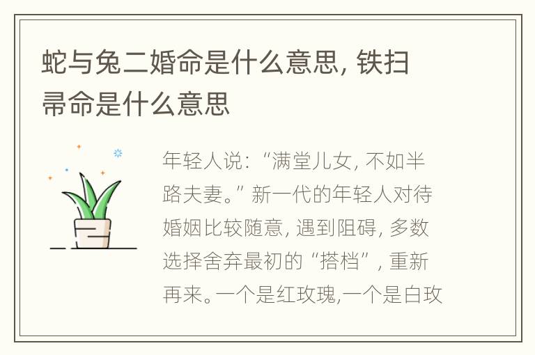 蛇与兔二婚命是什么意思，铁扫帚命是什么意思