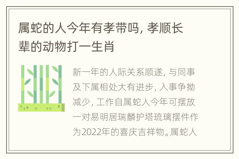 属蛇的人今年有孝带吗，孝顺长辈的动物打一生肖