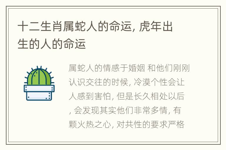 十二生肖属蛇人的命运，虎年出生的人的命运