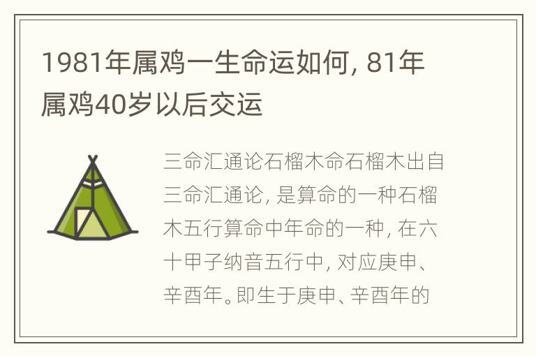 1981年属鸡一生命运如何，81年属鸡40岁以后交运