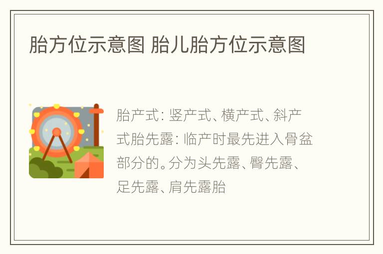 胎方位示意图 胎儿胎方位示意图