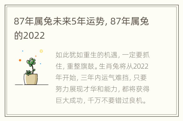 87年属兔未来5年运势，87年属兔的2022