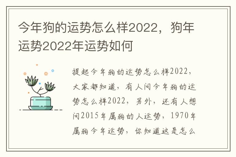 今年狗的运势怎么样2022，狗年运势2022年运势如何