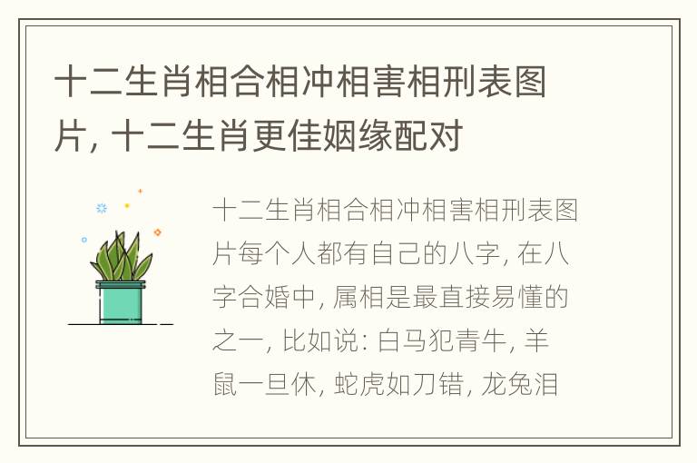 十二生肖相合相冲相害相刑表图片，十二生肖更佳姻缘配对