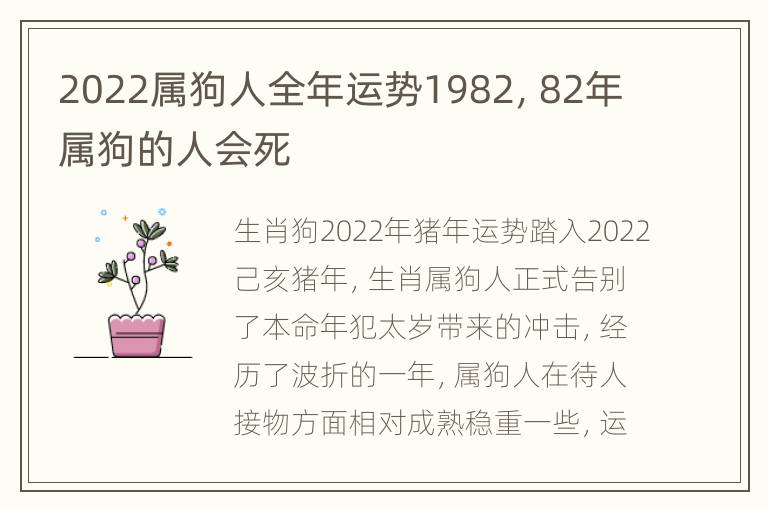 2022属狗人全年运势1982，82年属狗的人会死