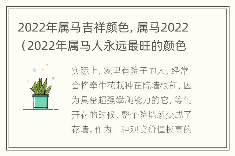 2022年属马吉祥颜色，属马2022（2022年属马人永远最旺的颜色）