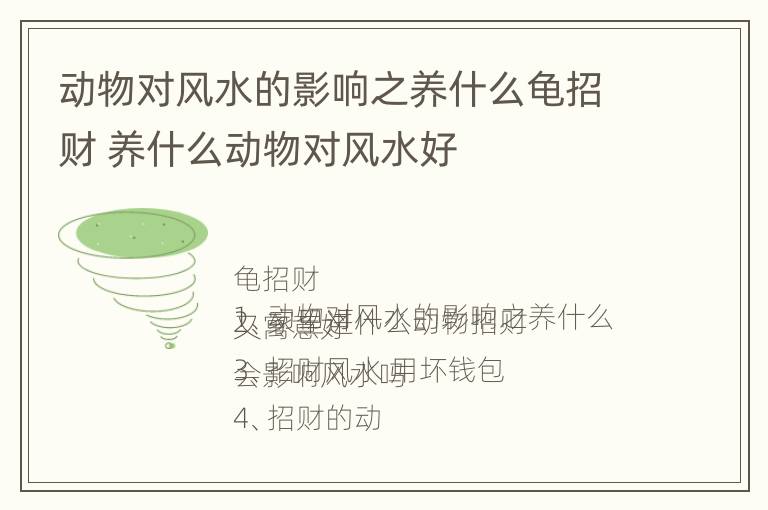 动物对风水的影响之养什么龟招财 养什么动物对风水好