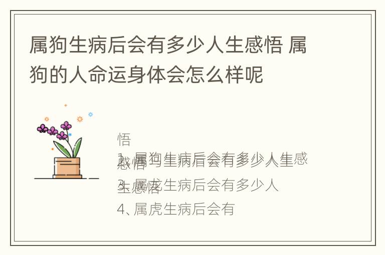 属狗生病后会有多少人生感悟 属狗的人命运身体会怎么样呢