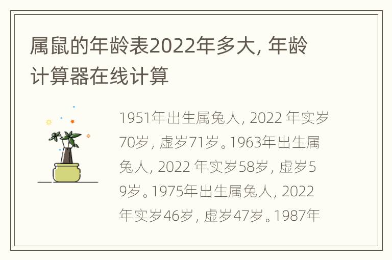 属鼠的年龄表2022年多大，年龄计算器在线计算