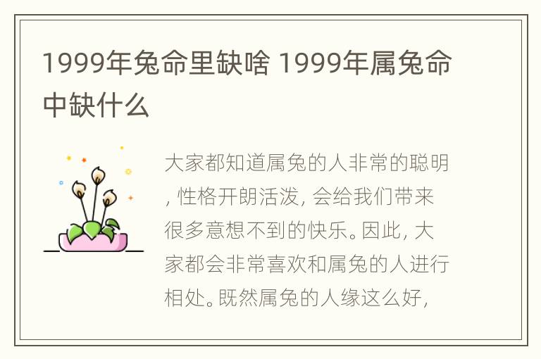 1999年兔命里缺啥 1999年属兔命中缺什么