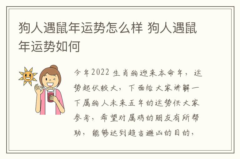 狗人遇鼠年运势怎么样 狗人遇鼠年运势如何