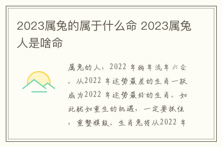 2023属兔的属于什么命 2023属兔人是啥命