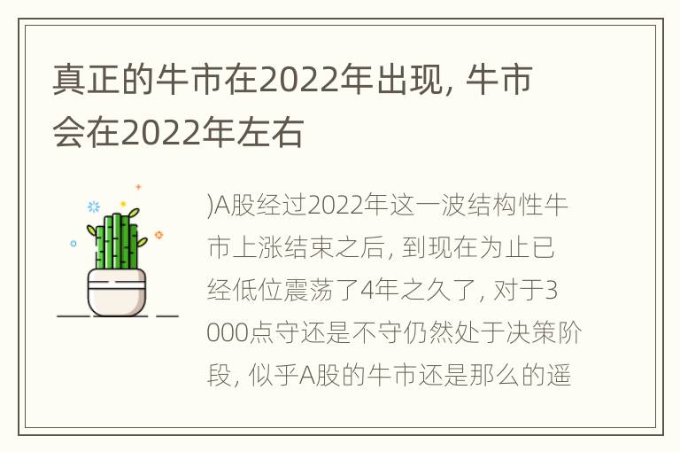 真正的牛市在2022年出现，牛市会在2022年左右