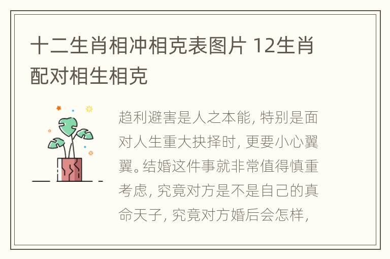 十二生肖相冲相克表图片 12生肖配对相生相克