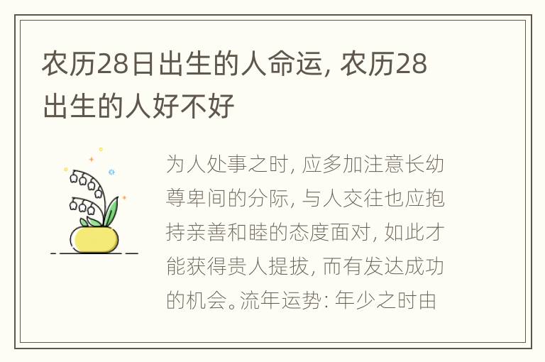 农历28日出生的人命运，农历28出生的人好不好