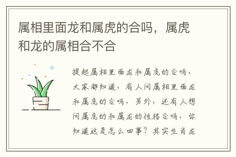 属相里面龙和属虎的合吗，属虎和龙的属相合不合