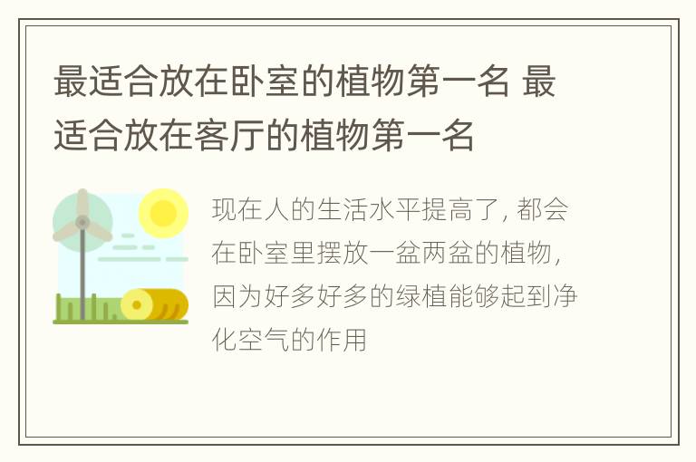 最适合放在卧室的植物第一名 最适合放在客厅的植物第一名