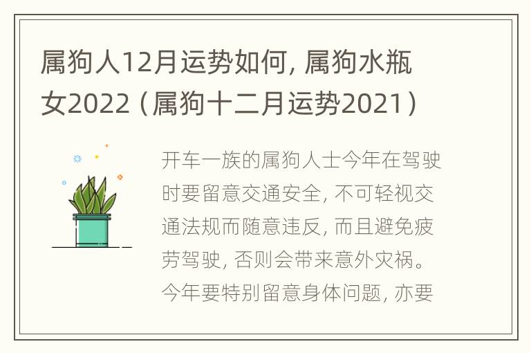 属狗人12月运势如何，属狗水瓶女2022（属狗十二月运势2021）