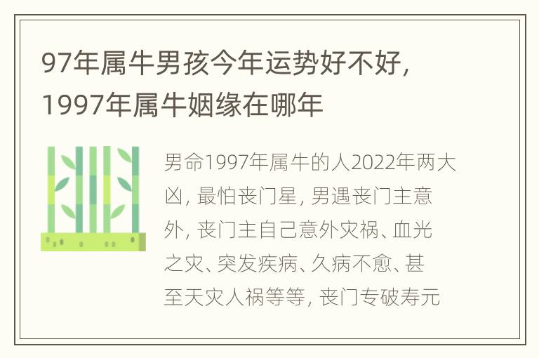 97年属牛男孩今年运势好不好，1997年属牛姻缘在哪年