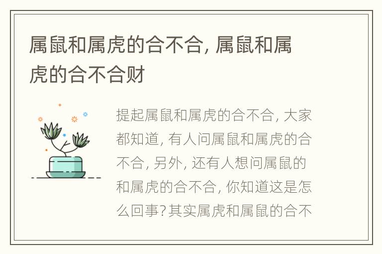 属鼠和属虎的合不合，属鼠和属虎的合不合财