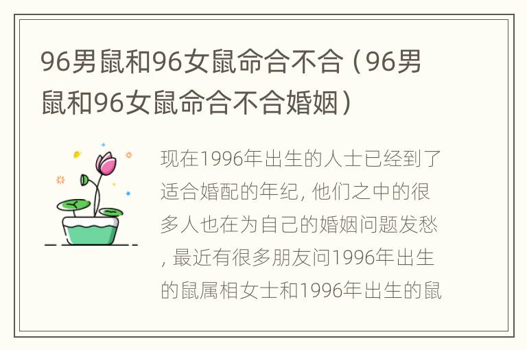 96男鼠和96女鼠命合不合（96男鼠和96女鼠命合不合婚姻）