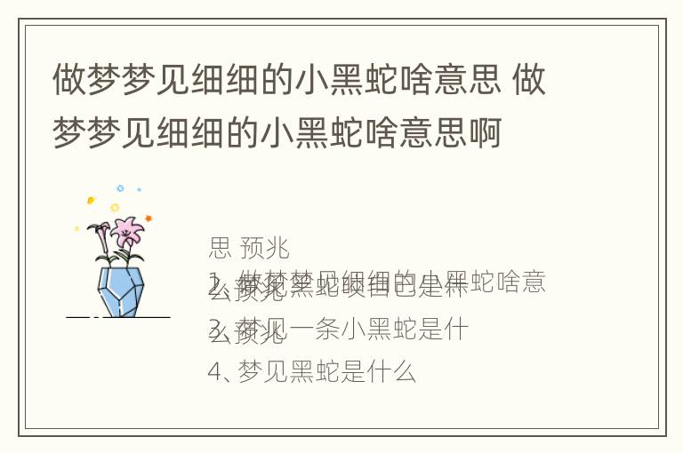 做梦梦见细细的小黑蛇啥意思 做梦梦见细细的小黑蛇啥意思啊