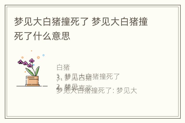 梦见大白猪撞死了 梦见大白猪撞死了什么意思