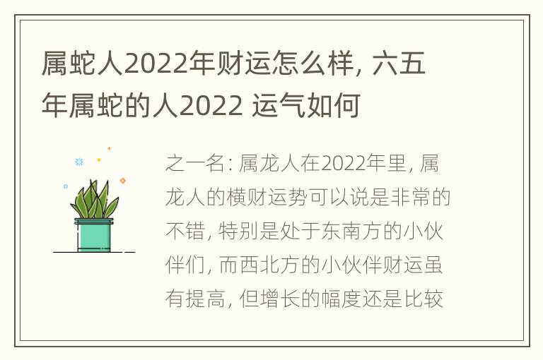 属蛇人2022年财运怎么样，六五年属蛇的人2022 运气如何