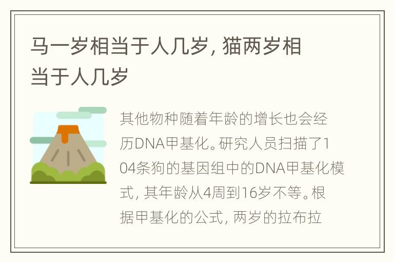 马一岁相当于人几岁，猫两岁相当于人几岁