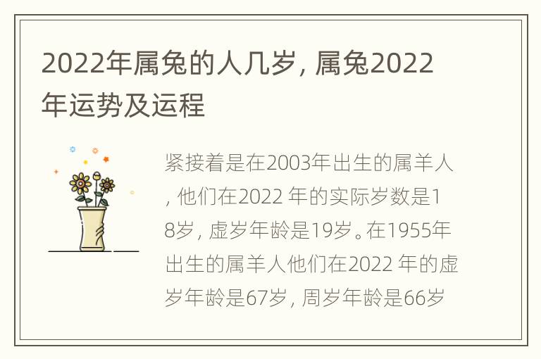 2022年属兔的人几岁，属兔2022年运势及运程