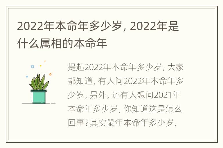 2022年本命年多少岁，2022年是什么属相的本命年