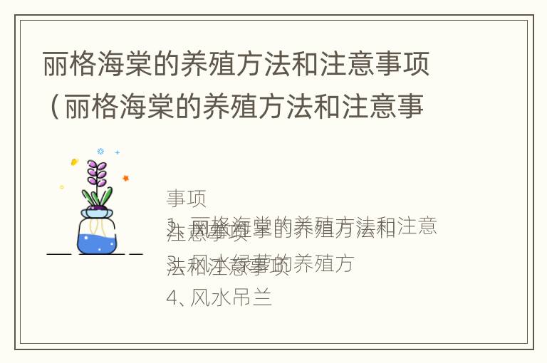 丽格海棠的养殖方法和注意事项（丽格海棠的养殖方法和注意事项视频）