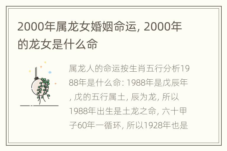 2000年属龙女婚姻命运，2000年的龙女是什么命