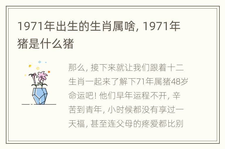 1971年出生的生肖属啥，1971年猪是什么猪