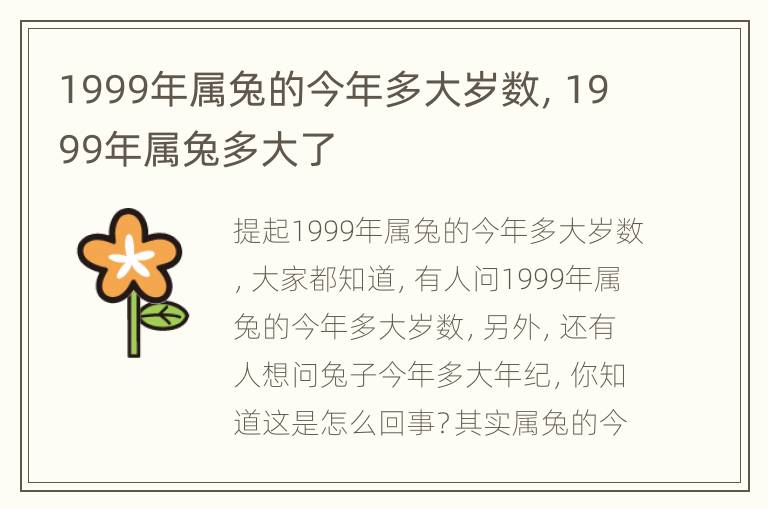 1999年属兔的今年多大岁数，1999年属兔多大了