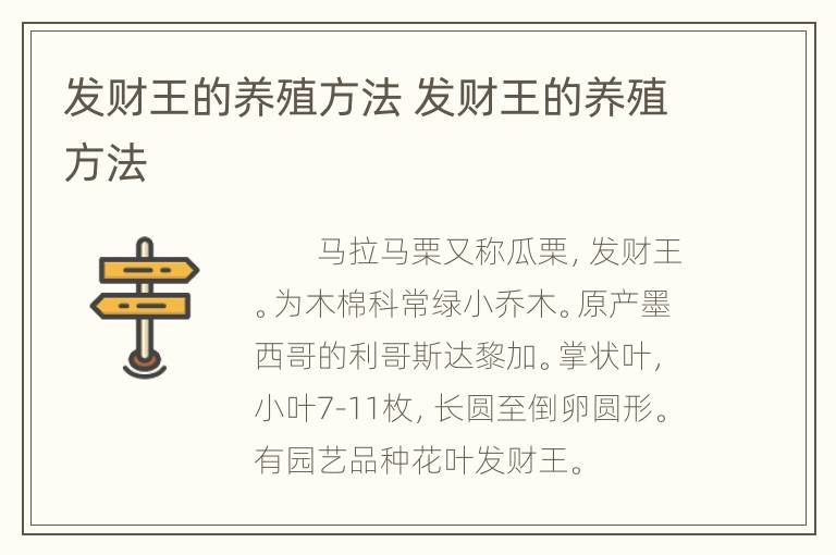 发财王的养殖方法 发财王的养殖方法