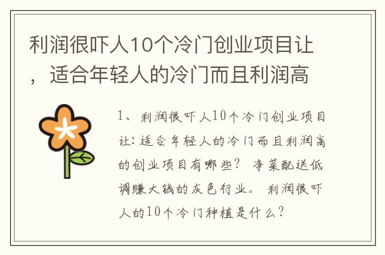 利润很吓人10个冷门创业项目让，适合年轻人的冷门而且利润高的创业项目有