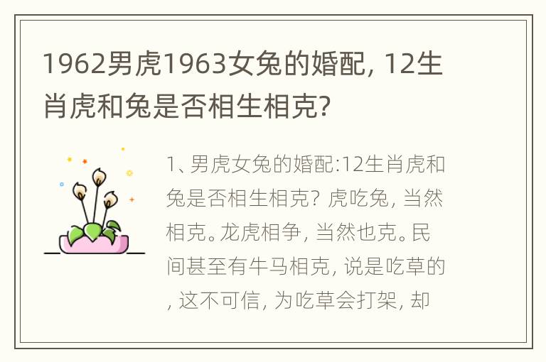 1962男虎1963女兔的婚配，12生肖虎和兔是否相生相克？