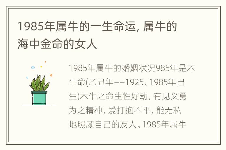 1985年属牛的一生命运，属牛的海中金命的女人