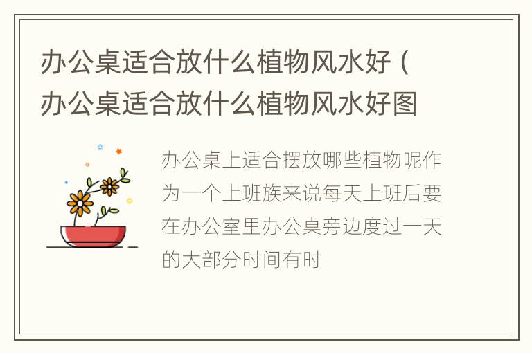 办公桌适合放什么植物风水好（办公桌适合放什么植物风水好图片）